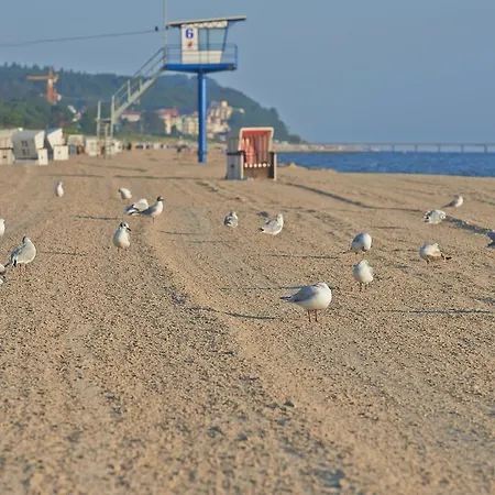 Neptun 3* Heringsdorf