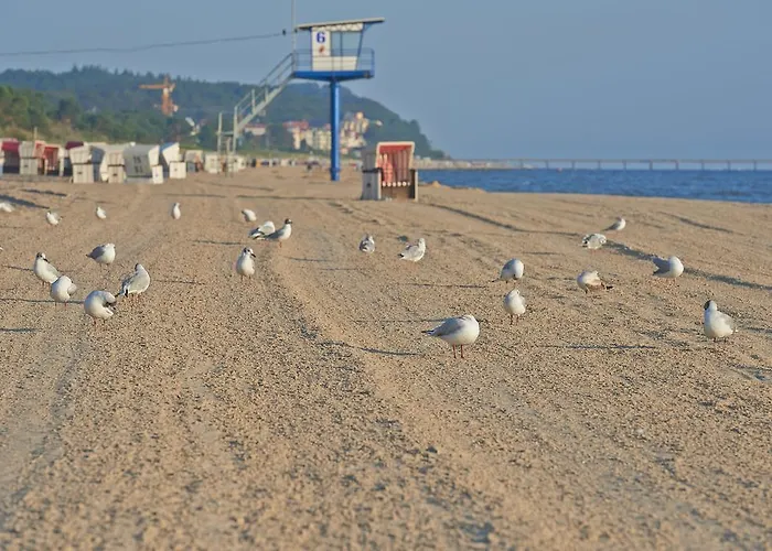 Neptun 3* Χέρινγκσντορφ