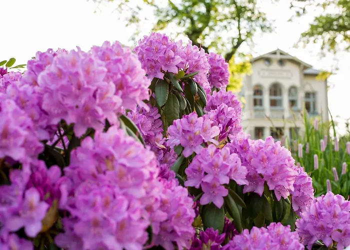 Neptun Heringsdorf (Usedom)